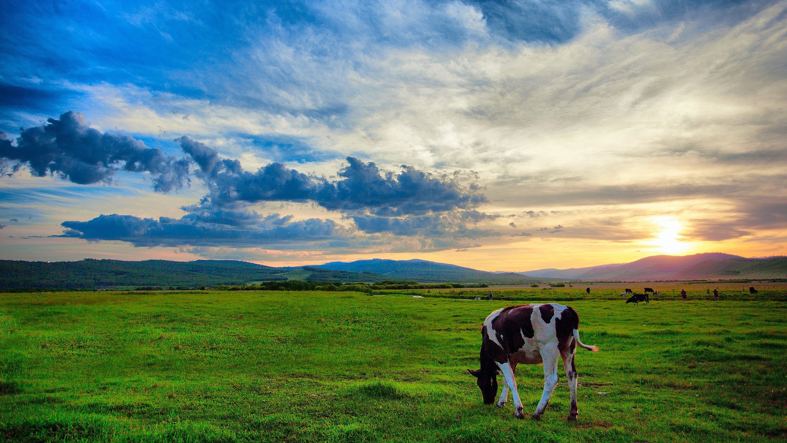 呼伦贝尔之行,深度体验与感悟