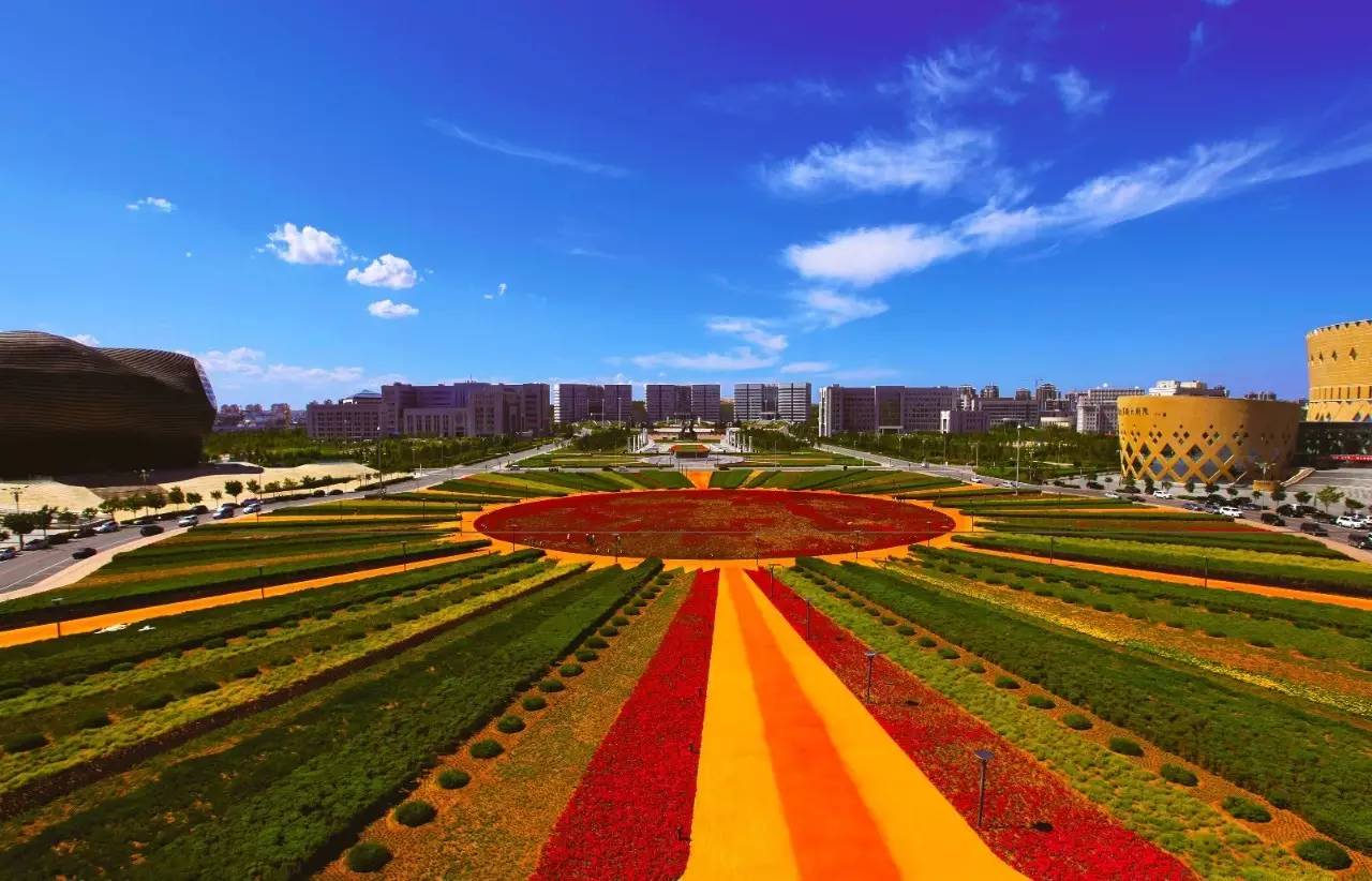 探寻鄂尔多斯，大学生眼中的神奇土地与文化之旅